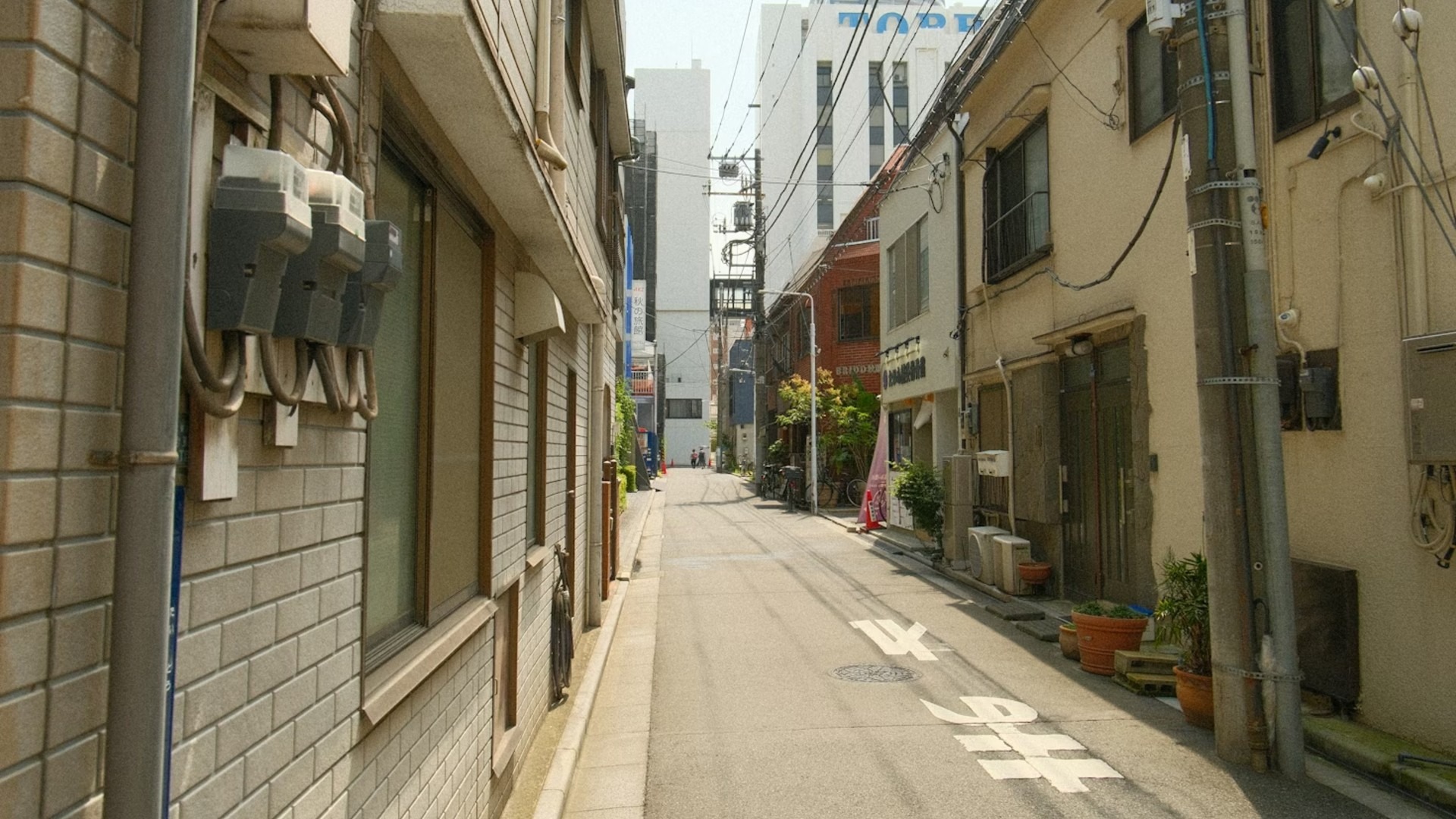 原始预览