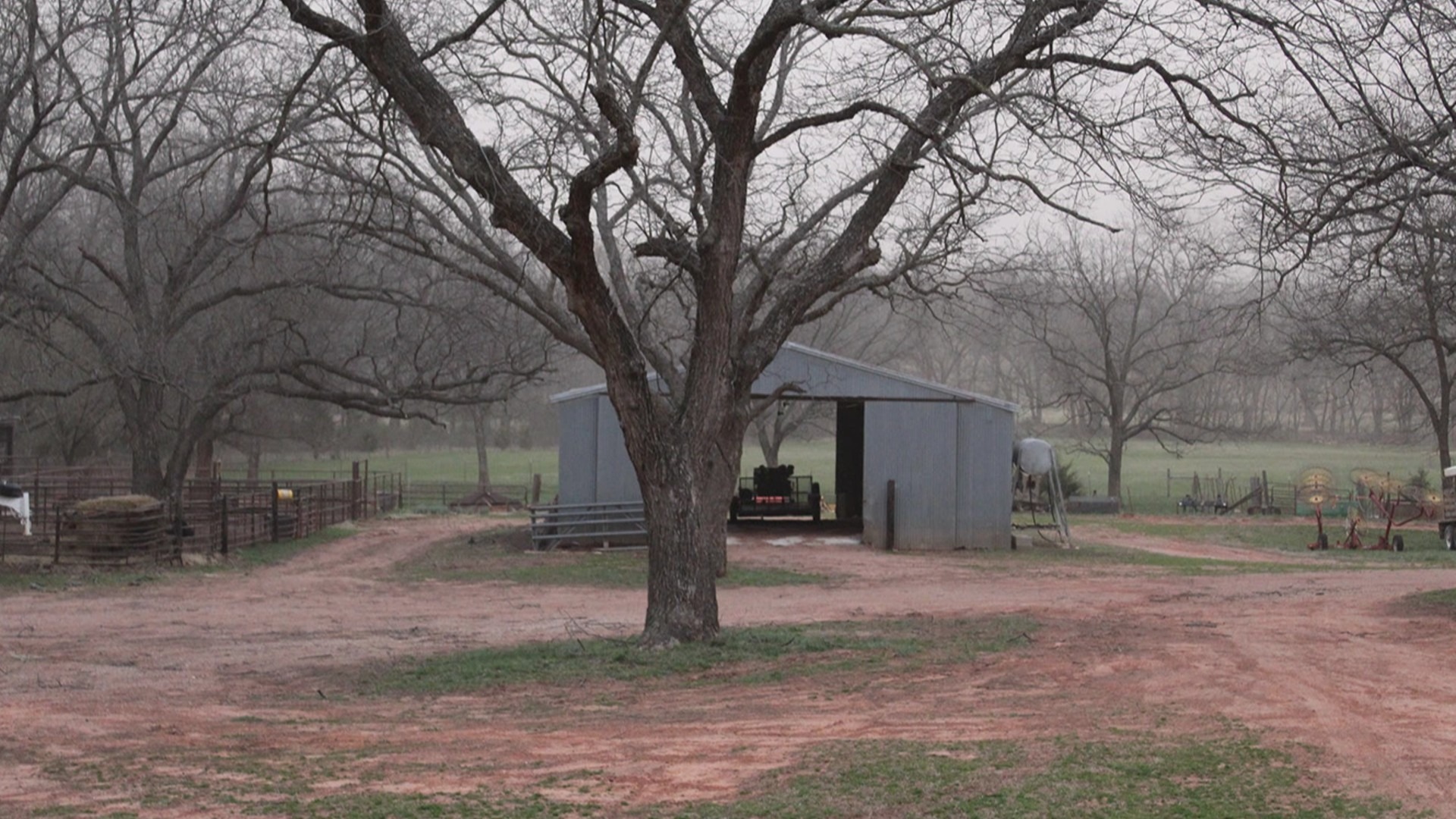原始预览