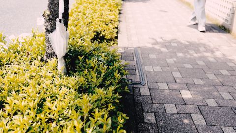 雨后水泥