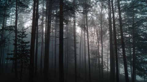 深渊残响