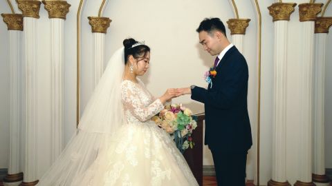紫阳花冷青自然