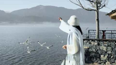 小清新lut