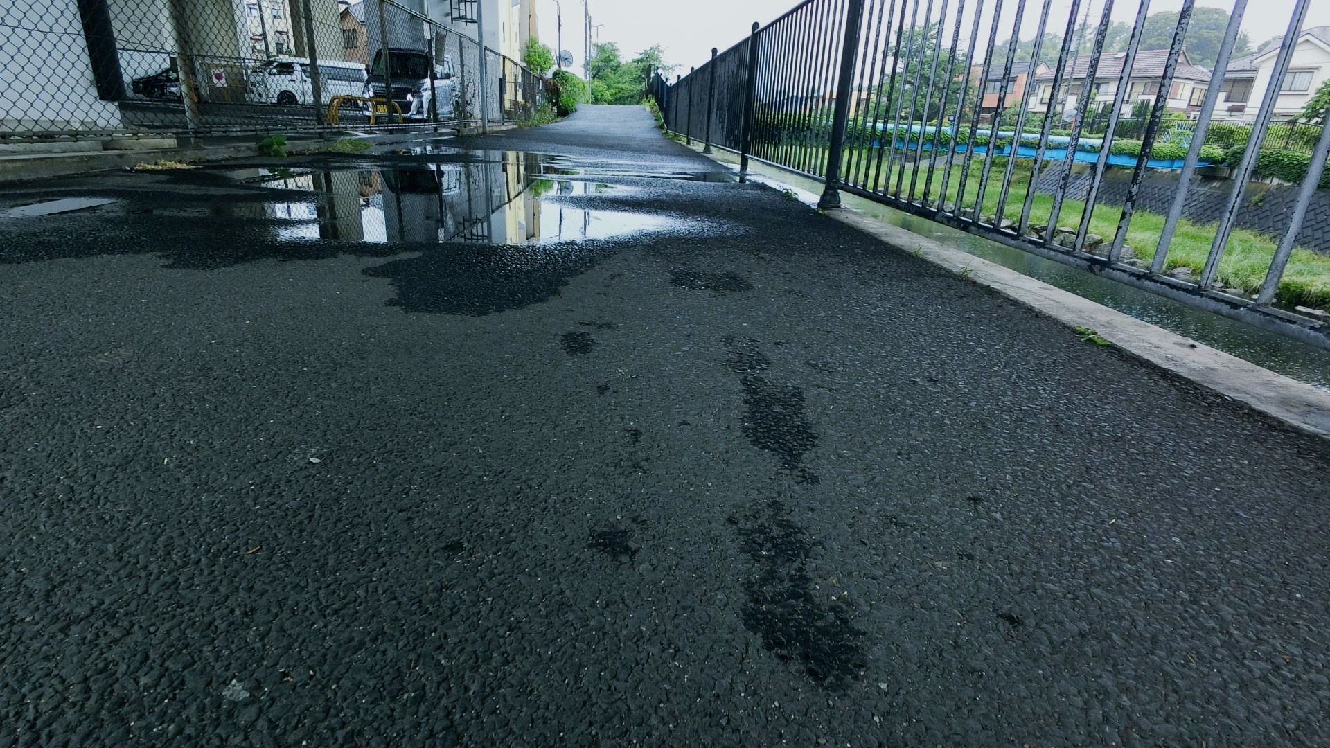 应用 LUT 后预览