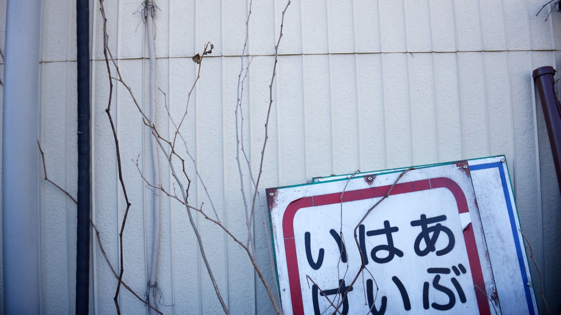 原始预览