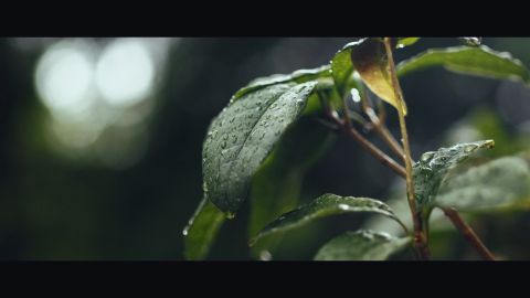 怪奇物语