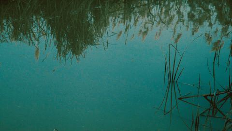 Portra 400 e
