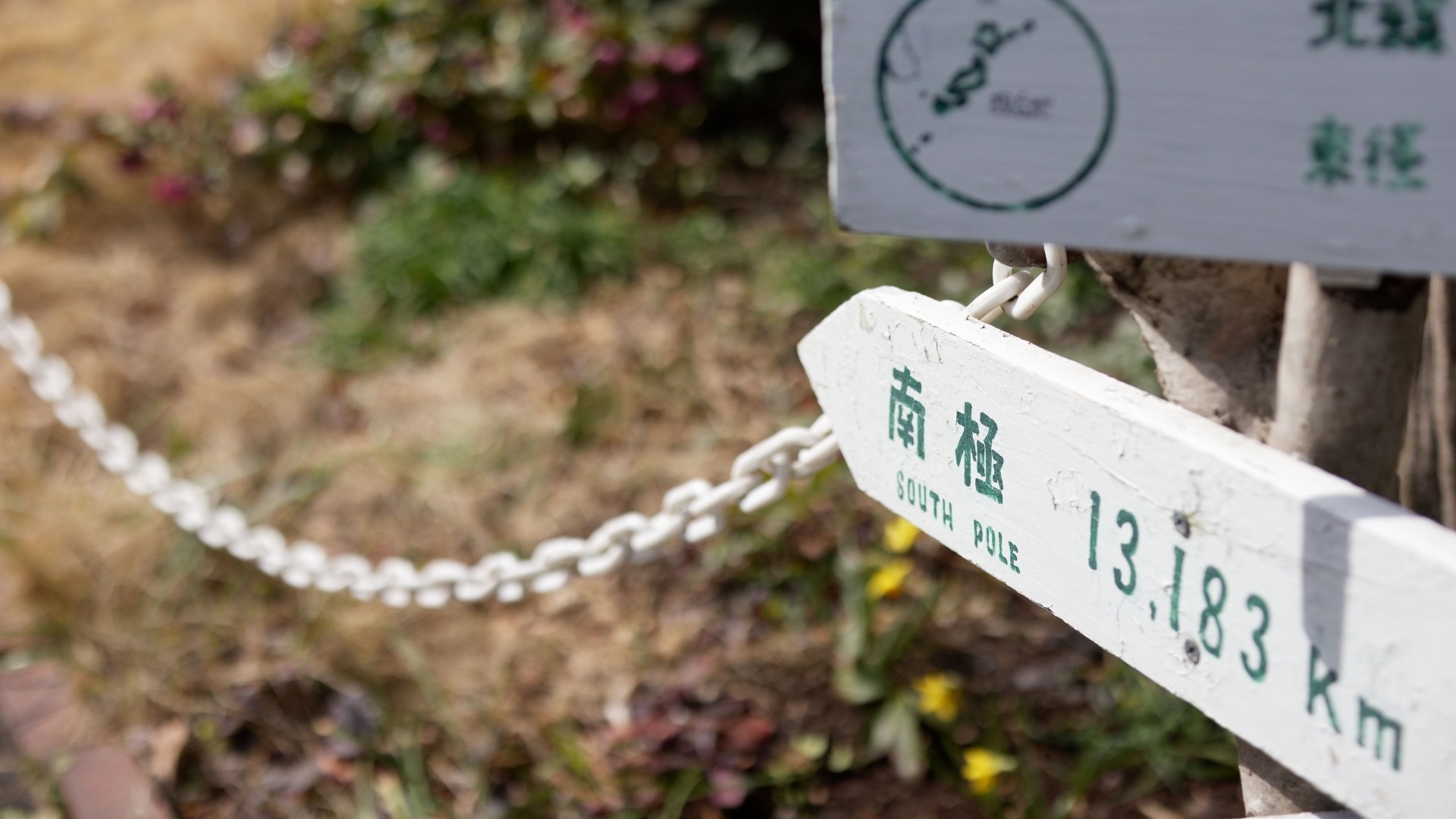 原始预览