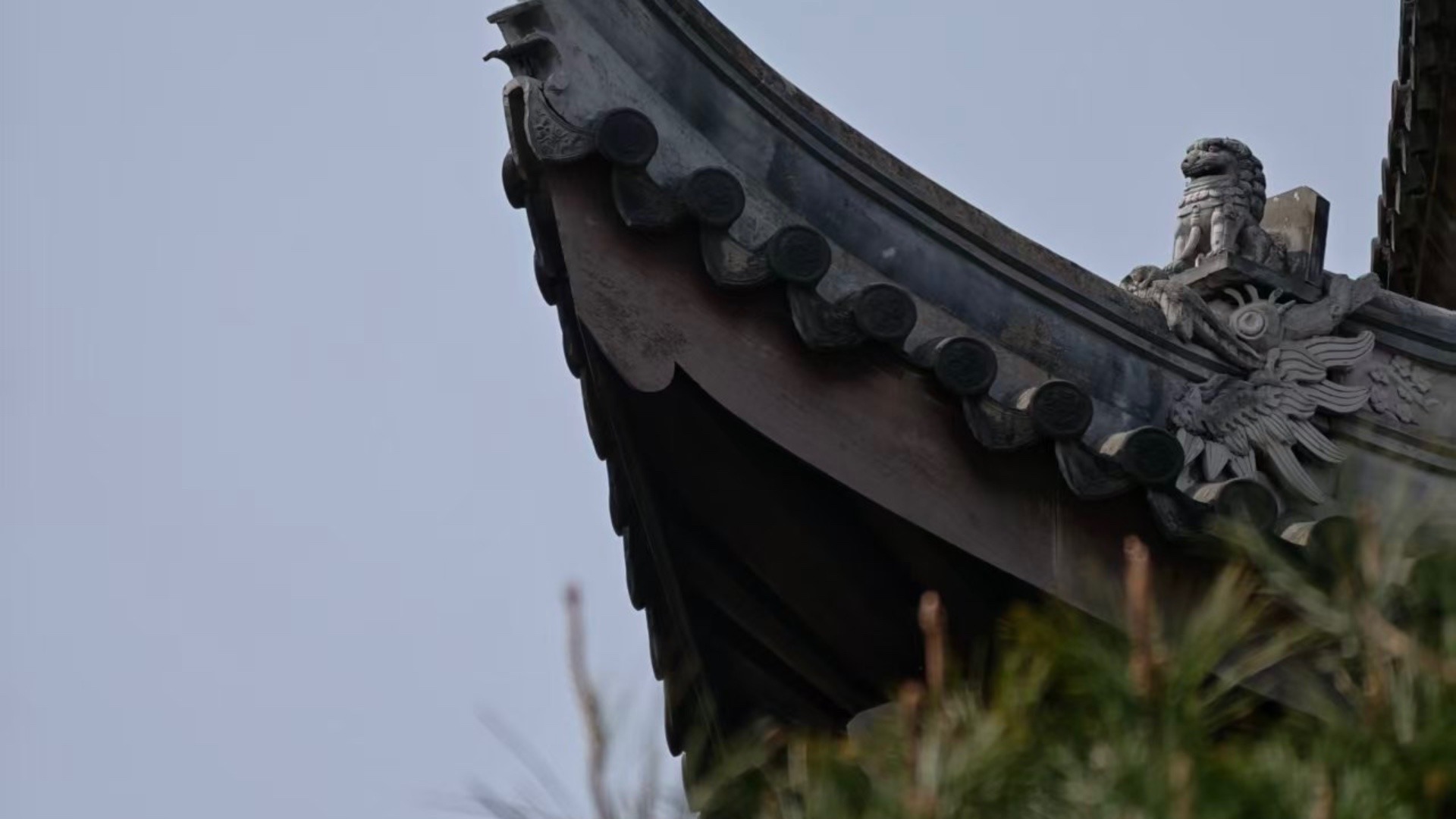 原始预览