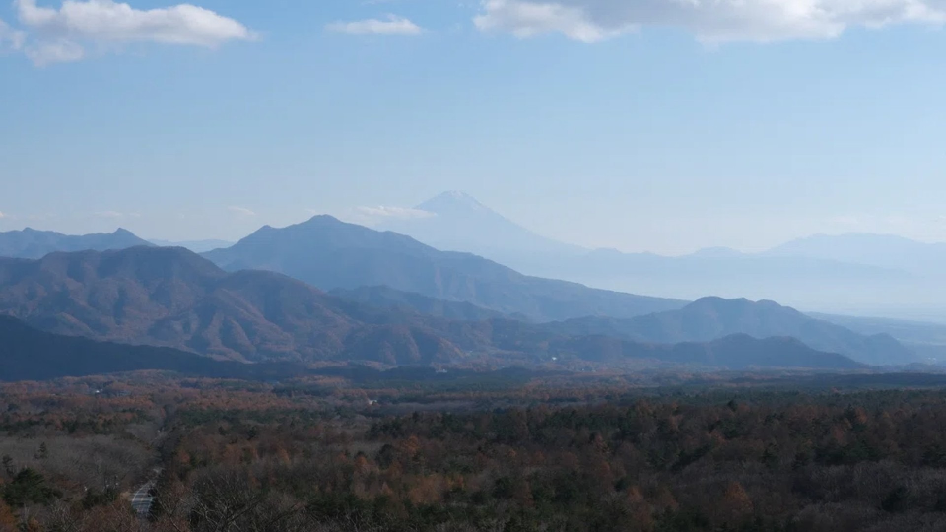 原始预览