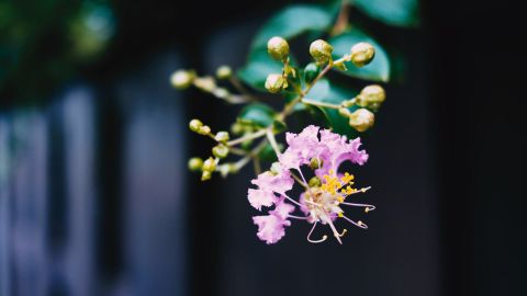 雾霾质感