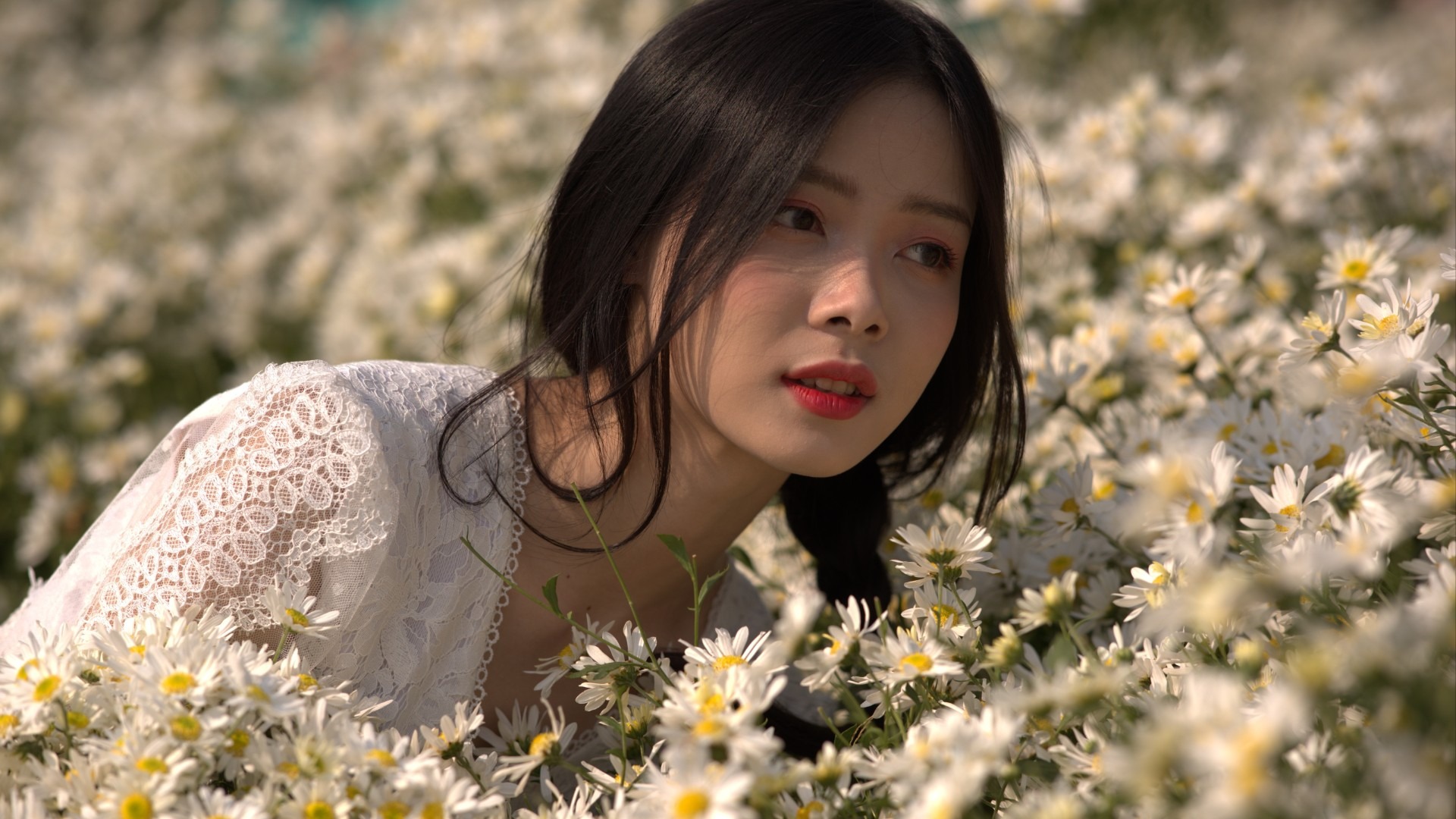 原始预览