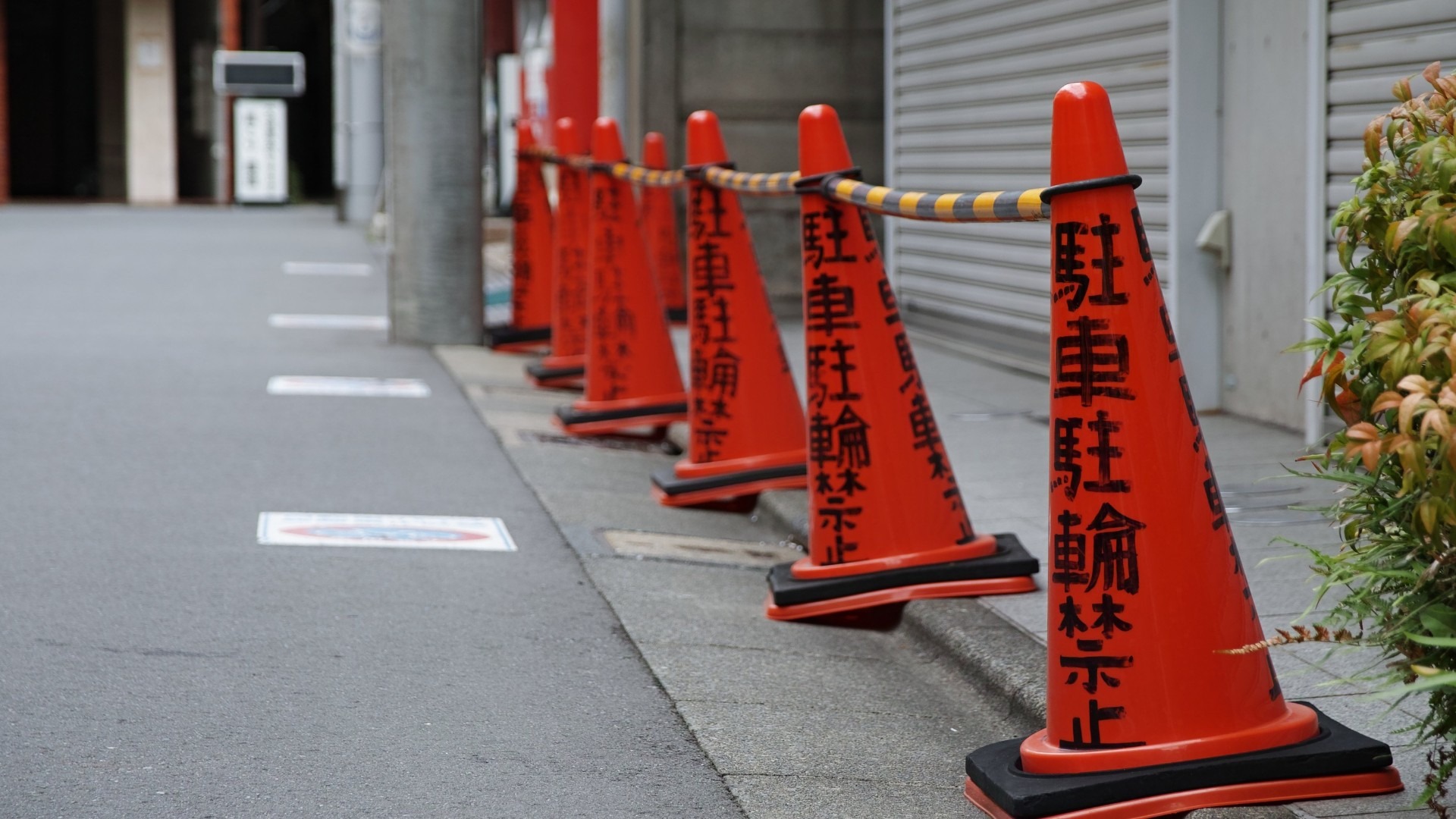 原始预览