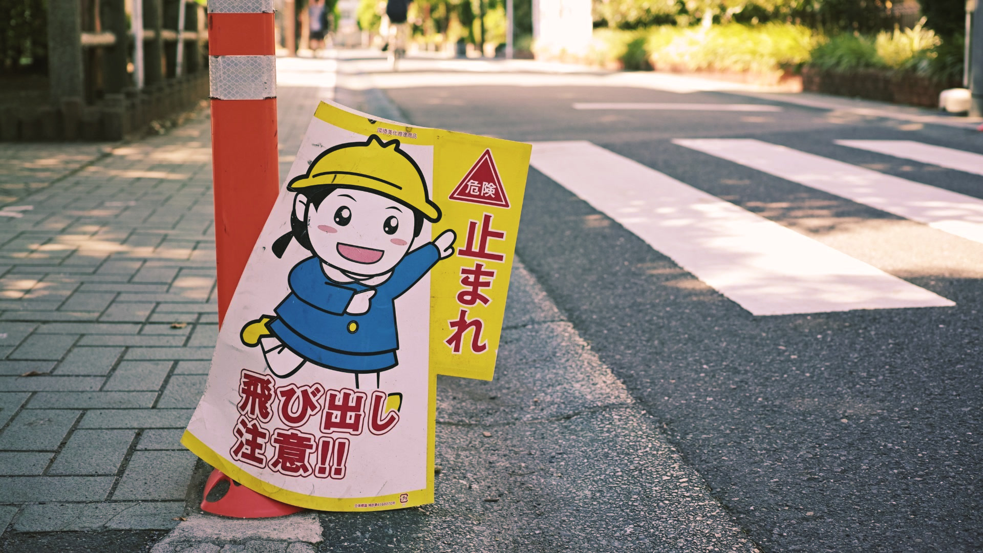 应用 LUT 后预览