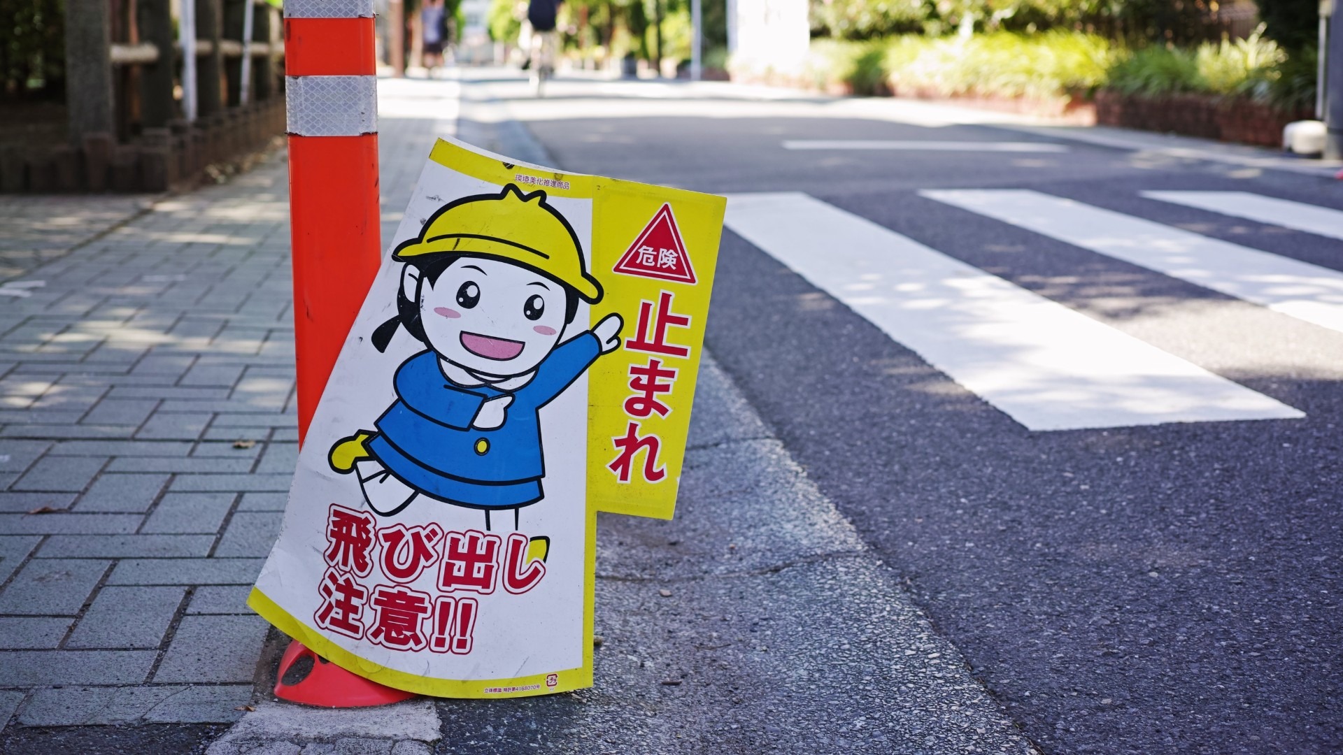 原始预览