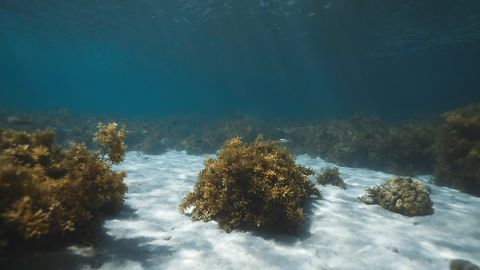 潜水阳光水纹