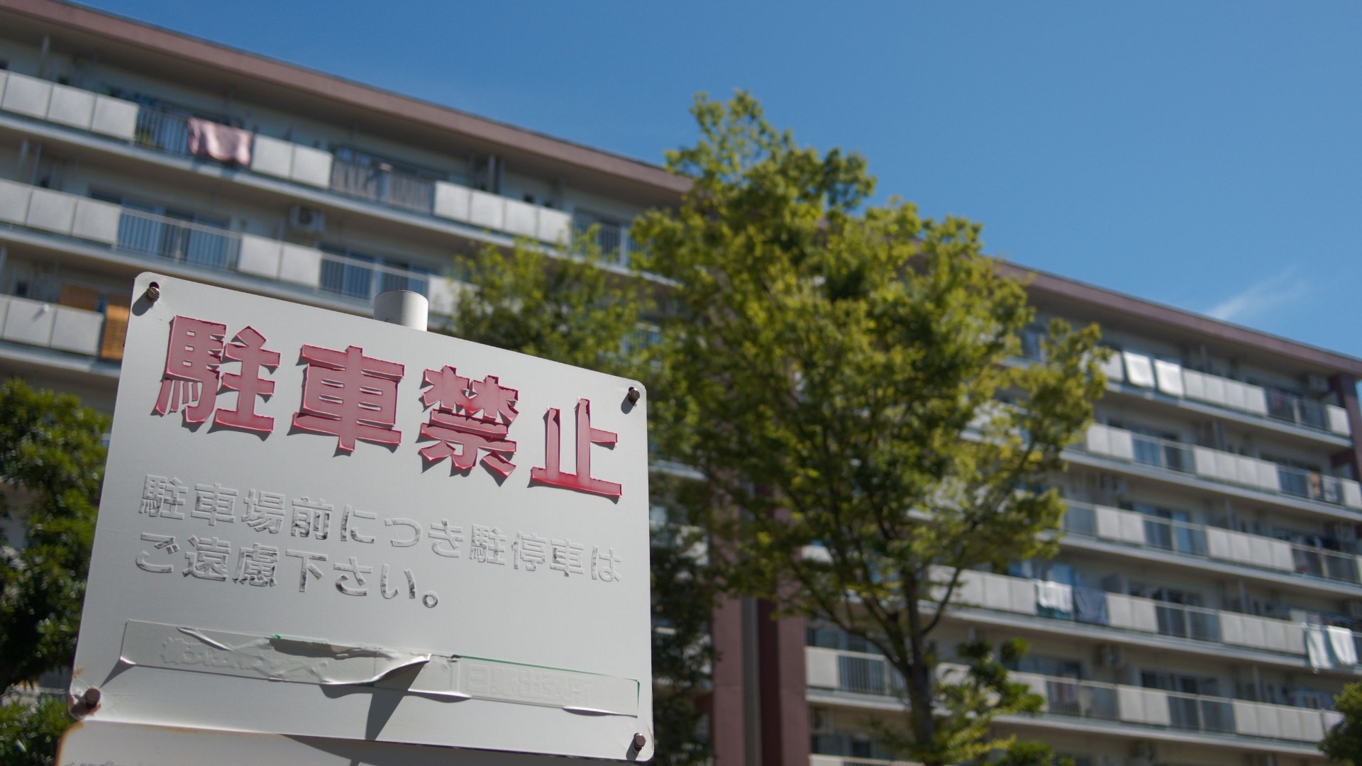 原始预览