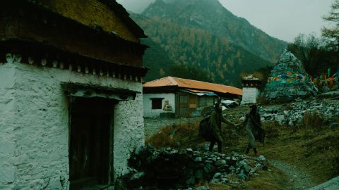 Kodak 5203