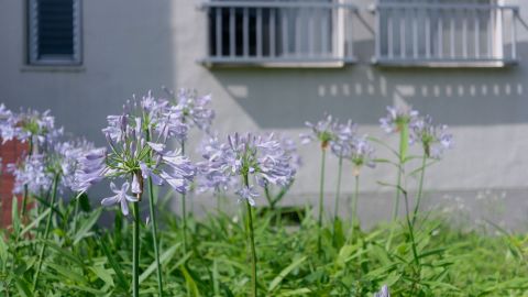 酒吧暗红