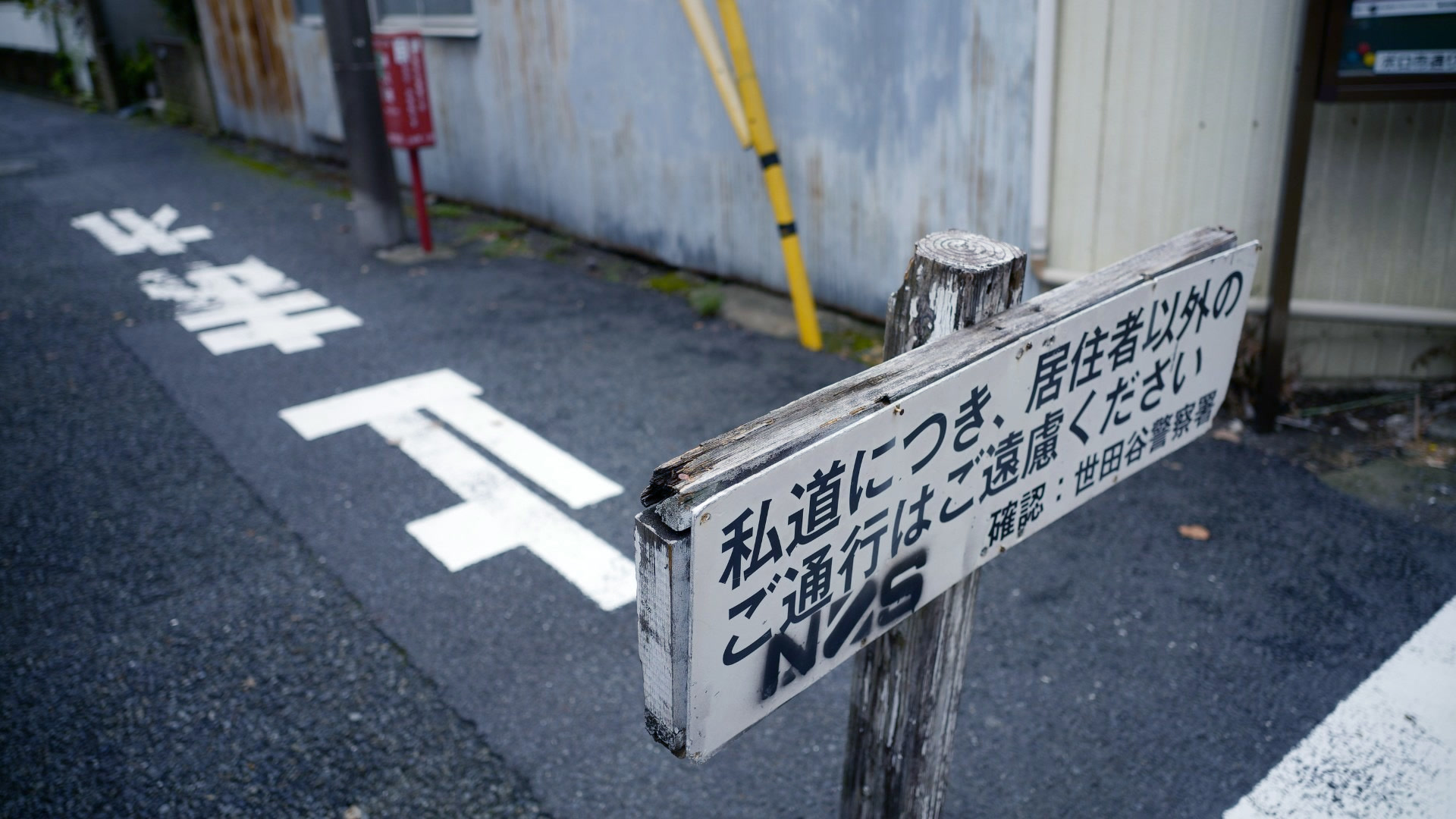 应用 LUT 后预览