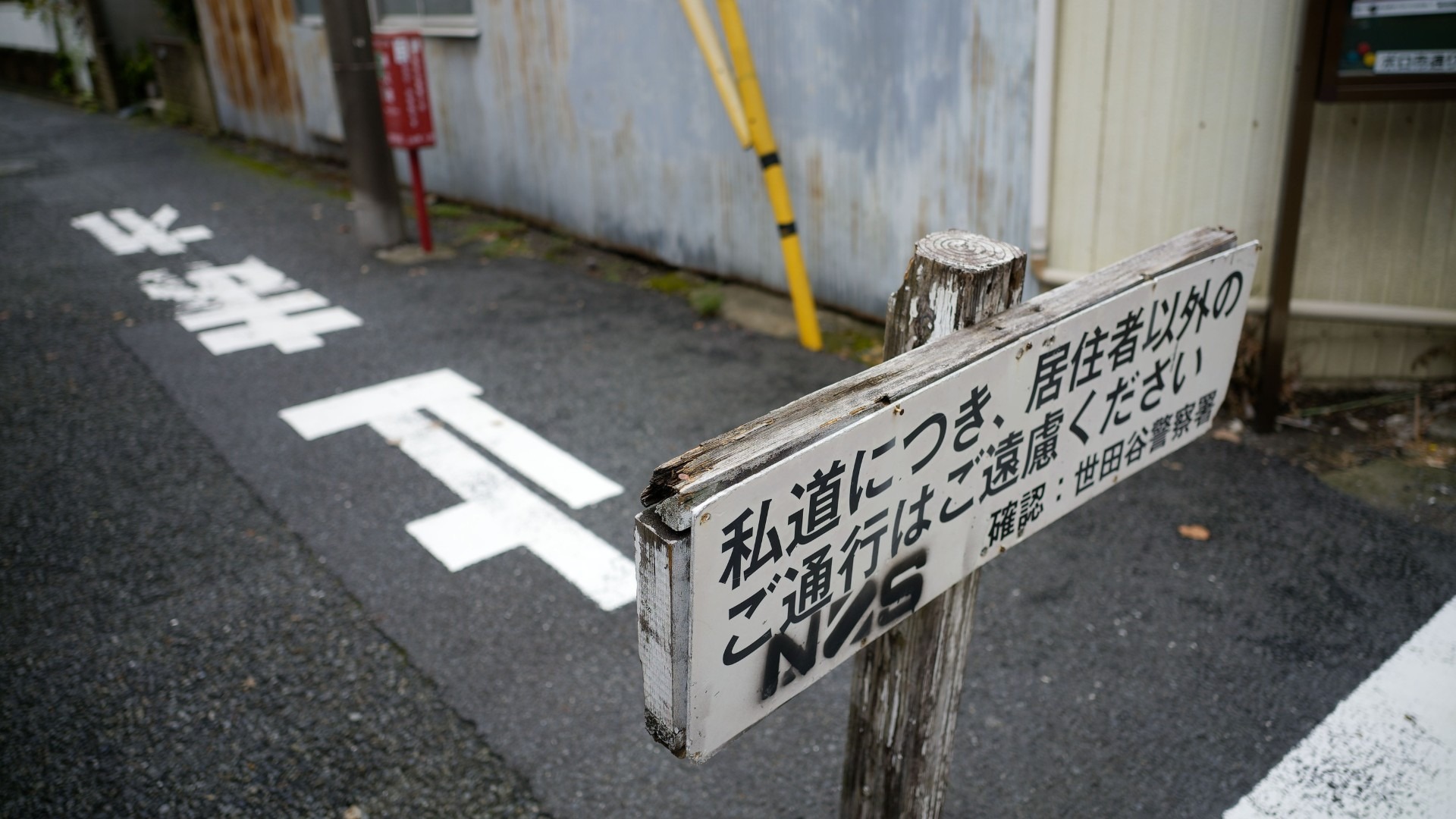 原始预览