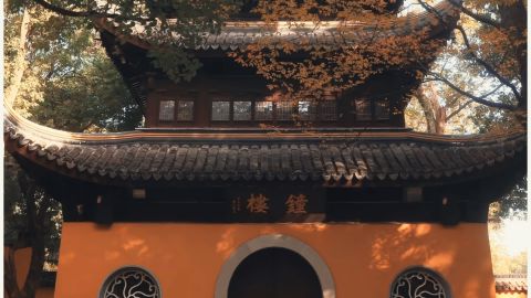 柯达5219（暖）